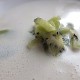 Malte Evers Rezept: Zitronengrassuppe mit Kiwi